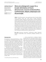Image result for Dielsiothamnus divaricatus