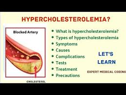 Image result for Hypercholesterolemia