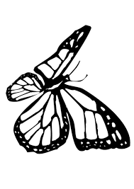 Butterfly Coloring Pages Monarch Butterfly Butterfly Coloring Page Monarch Butterfly Insect Coloring Pages