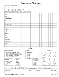 Neurological Flow Sheet