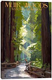 Bring the outdoors inside your home with some cool forest wall murals. Redwood Trees Canvas Art Icanvas