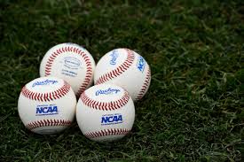 Camilla araujo only fotos