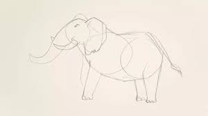 Dan cari lebih banyak seni vektor bebas . 4 Cara Untuk Menggambar Gajah Wikihow