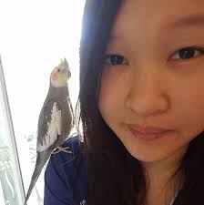 Meet the Interns 2018-19