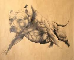 Tiger Stripe Black And Brown Pitbull Apbt Some Awesome Apbt Art Work Pitbulls Dog Breeds Canine Pet Dogs Pitbull Puppy Pitbull Dog Pitbull Bre Pitbull Dog Dog Photography Husky Dog Drawing