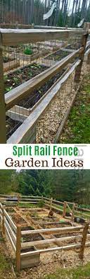 The caps on the poles accent the elegance of the fence. Split Rail Fence Garden Ideas One Hundred Dollars A Month