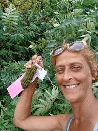 Teal Lake and US 41 Sunset Negaunee Michigan