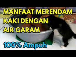 Merendam Kaki Ke Dalam Air Garam Untuk Membuang Berbagai Macam Penyakit Youtube Rendaman Kaki Kesehatan Diet Detoks