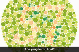 Check spelling or type a new query. Bisakah Kamu Menyelesaikan Tes Buta Warna Ini