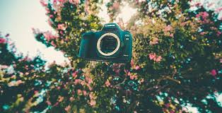 Check spelling or type a new query. 18 Diy Product Photography Tips To Boost Sales In 2021