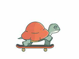 Turtle Tony Hawk Fan By Alexey Mozgovets Simple Cartoon Turtle Turtle Gif