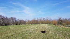 3,523 likes · 72 talking about this. Barmen Barmener See Ausfluge Mit Hund