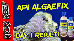 Algaefix Algaecide By Pondcare | Planet Natural