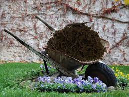 Is There A Perfect Type Of Mulch For A Dog