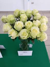 Where To Buy Bulk Flowers Online For Your Wedding Roses Flowers Peonies Wedding Events Bouquets Bulk Flowers Online Flowers Delivered Types Of Flowers