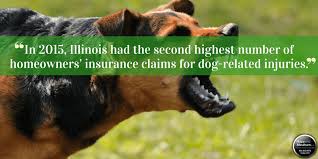 This assumes that your homeowner's insurance policy has liability, which it most likely does. Dog Bite Damages In Illinois Hupy And Abraham S C