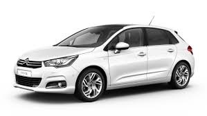 Image result for Brun Guaranja 2011 Citroen