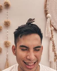 Kekompakan rachel dan okin kali ini terlihat dari momen mengambil rapor xabiru. 5 Fakta Niko Al Hakim Cium Steffi Zamora Diisukan Tengah Menjalin Hubungan