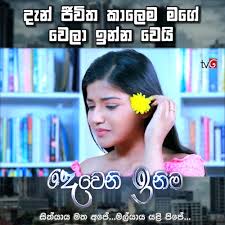 In addition to that, facebook has blocked my blog address for some reason and that means i really cannot share my posts especially since google. à¶¯ à·€à¶± à¶‰à¶± à¶¸ Dewani Inima Posts Facebook