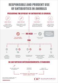 World organisation for animal health (en); Amr Oie World Organisation For Animal Health Pet Health Veterinary Day Health