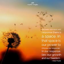 Between Stimulus And Response There Is A Space In That Space Is Our Power To Choose Our Response In Our Response Lies Our Gr Viktor Frankl No Response Martin