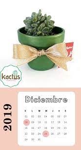 Diciembre 2019 Feriados Cactus Navidad Planter Pots