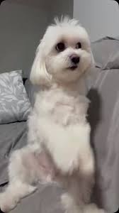 Meu Nick dando tchau !