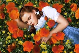 Find the perfect flowers in paris stock illustrations from getty images. Top 10 Flowers On Film Moments Another
