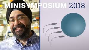 Mia Levine: Intra-genomic conflict shapes the evolution of genome integrity 