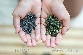 Layer chopped onions in the cooker. Maa Ki Dal Kaali Dal Recipe Easy Slow Cooked Black Urad Dal Recipe