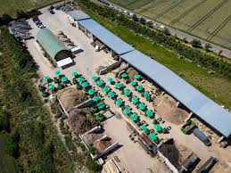 Wir betreuen und pflegen ihren garten und pool. Fuhrpark Der Firma Odenwaller Gmbh Bruchkobel
