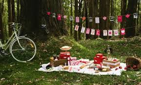 Valentine S Day Picnic Valentines Day Party Valentines Romantic Picnics