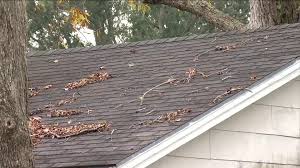 The insurance company will send out an adjuster to. Florida Sb 76 Could Change How Insurance Companies Cover Old Roof Replacements