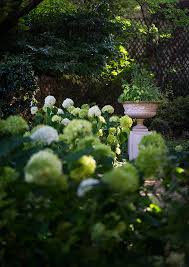 Elles représentent notre part d'ombre et de lumière dans les actualités qui s'enchaînent. De L Ombre A La Lumiere Un Projet Opus Paysage