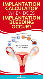 Pin On Health And Wellness