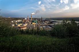 Image result for Conostomium zoutpansbergense