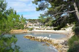 A La Decouverte Des Fonds Marins En Provence Alpes Cote D Azur Paysage De Provence Vacances Mer Tourisme