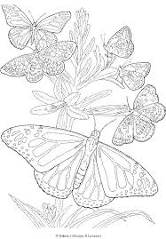 Kids can use both crayons as well as watercolors to fill in these pages. Detailed Butterfly Coloring Page Butterfly Coloring Page Mandala Coloring Pages Coloring Pages