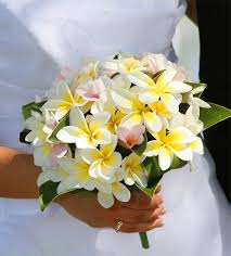 Wedding flower bouquets of hawaii bright colores tropical flowers , from multi colors of plumerias and hibiscus , birds of paradise and other exotic florals that hawaii has to offer tear drop style to round french bouquets are featured here at aloha island weddings. Best Wedding Flowers For Your Destination Beach Wedding Bouquets Blue Wedding Bouquet Yellow Wedding Bouquet