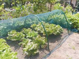 Watering your vegetable garden and understanding how to do it right is one of the best ways to set your plants up for a successful and abundant season! Hail Protection Woven Net Defender Plus By Tenax