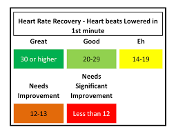 Your heart will recover quicker as you become fitter. Episode 2 Heart Rate Recovery Hrr Jvb Health Wellness