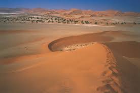 Bush people walking in namib desert stock footage video. Namib Location Map Climate Plants Animals Facts Britannica