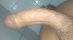 Novinho pauzudo - XNXX.COM