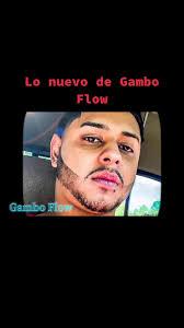 Emily Anthony Gamboa