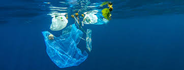 Sea Of Change Foundation Ocean Pollution Public Awareness Action Sea Of Change Find over 100+ of the best free ocean pollution images. sea of change foundation ocean pollution public awareness action sea of change