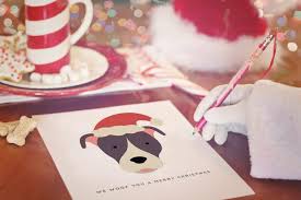 Christmas card quotes can still be personal, just use a quote that has meaning to you — choose one from your favorite i love the stockings, the cookies, the candy canes and the giving of precious gifts. 100 Merry Christmas Wishes Messages Quotes Greetings Island