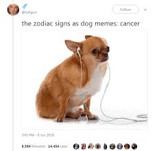 The 12 Zodiac Signs As Dog Memes Humormemes Dog Memes Zodiac Signs Funny Dog Zodiac