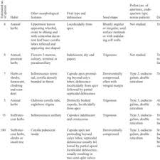 Image result for Oldenlandia angolensis