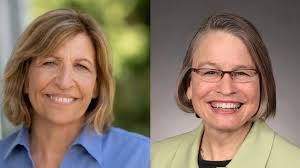 Rita Hart: At least 22 legally cast ballots in Iowa's 2nd Congressional  District were not counted