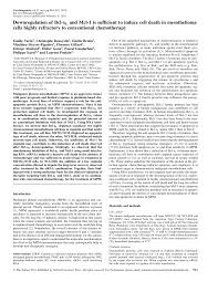 mesothelioma compensation after death the death of a loved one is always hard, but when their death was caused due to an industrial disease such as mesothelioma, it can feel especially cruel. Https Academic Oup Com Carcin Article Pdf 31 6 984 17287977 Bgq026 Pdf